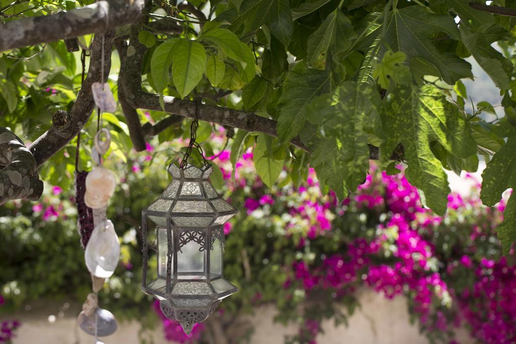 B&B Candelaria Corregos de Monte Seco Экстерьер фото